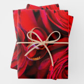 Celebrations Wrapping Paper pack (In situ)