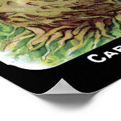 Celeriac Kaart Seed Co. pakket Fredonia, NY  Poster (Hoek)