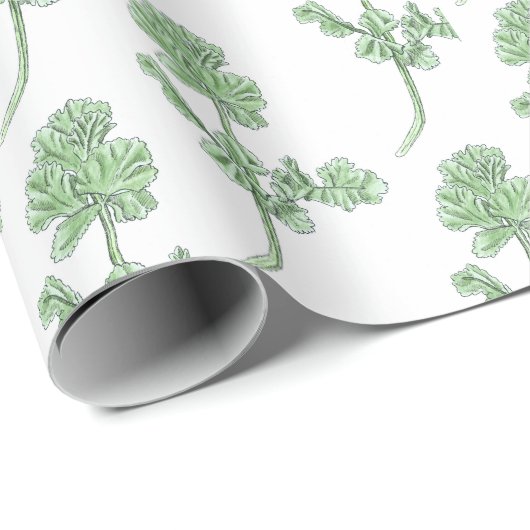 Celery Leaf Cadeaupapier (Rol Hoek)