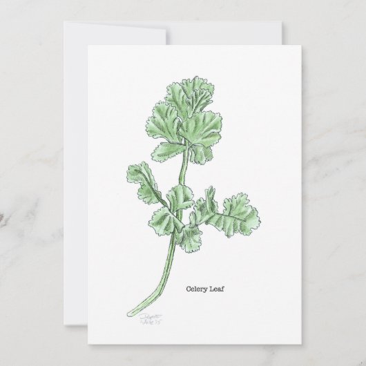 Celery Leaf Kaart (Voorkant)
