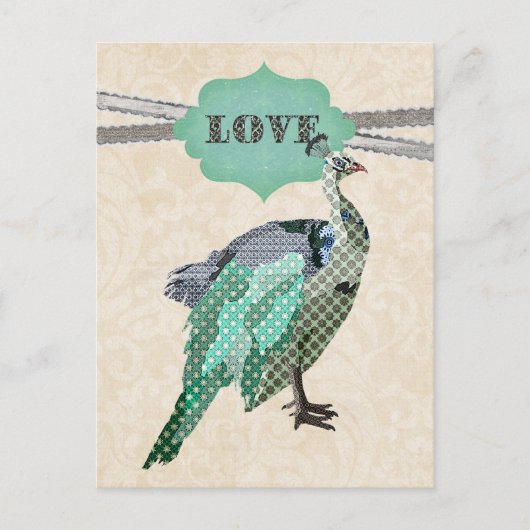Celeste Peacock    LovePostcard Briefkaart (Voorkant)