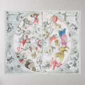 Celestial die de Tekenen van de Zodiac toont Poster (Voorkant)