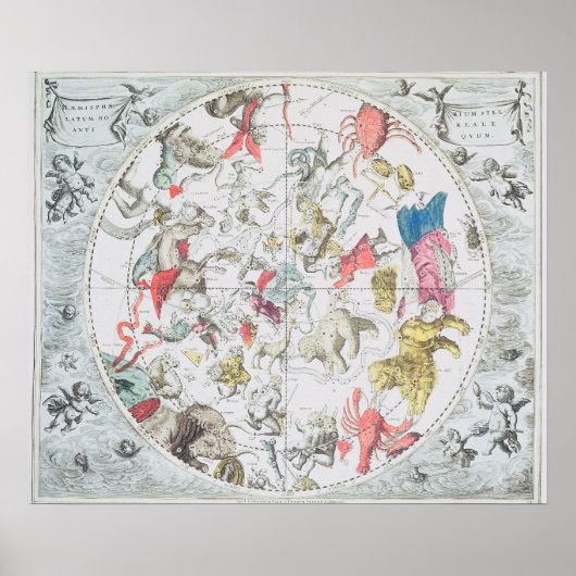 Celestial die de Tekenen van de Zodiac toont Poster (Voorkant)