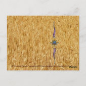 Celestial Harvest Briefkaart (Achterkant)