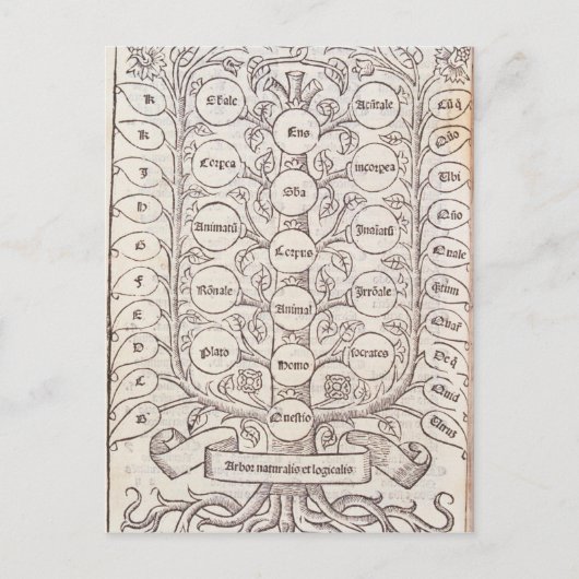 Celestial ladder briefkaart (Voorkant)