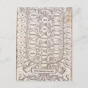 Celestial ladder briefkaart