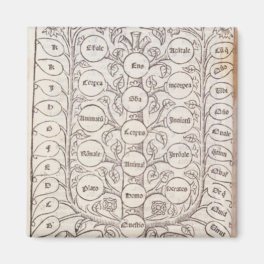 Celestial ladder magneet (Voorkant)