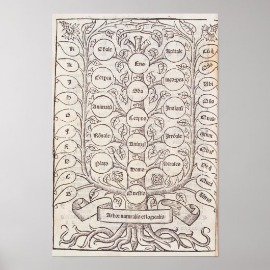 Celestial ladder poster (Voorkant)