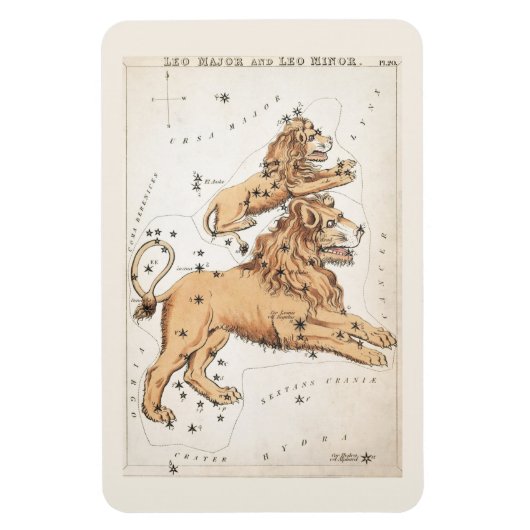 Celestial Leo Constellation Magneet (Verticaal)