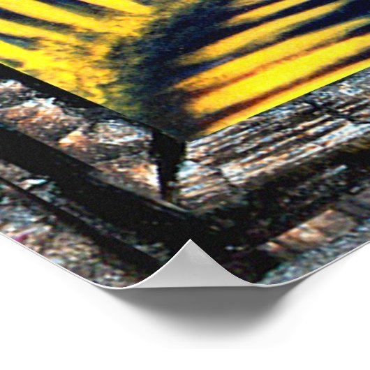 Celestial Light Poster (Hoek)