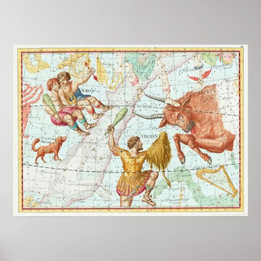 Celestial Map Constellations Poster (Voorkant)