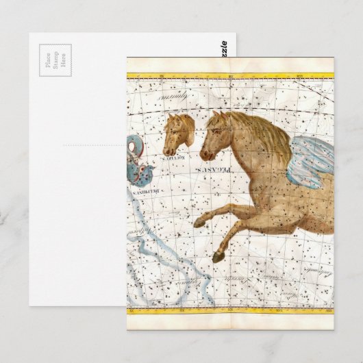 Celestial Map Pegasus Briefkaart (Voorkant / Achterkant)