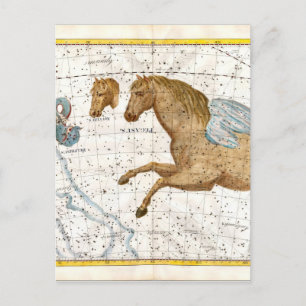 Celestial Map Pegasus Briefkaart