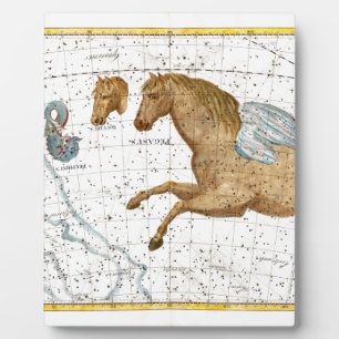 Celestial Map Pegasus Fotoplaat