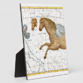 Celestial Map Pegasus Fotoplaat (Zijkant)