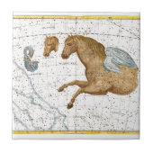 Celestial Map Pegasus Tegeltje (Voorkant)