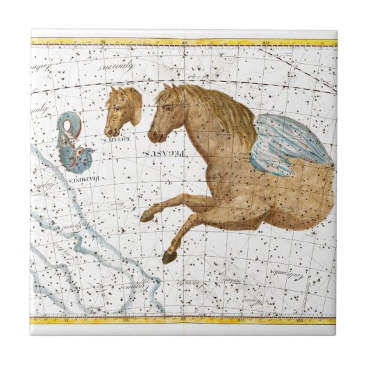 Celestial Map Pegasus Tegeltje (Voorkant)