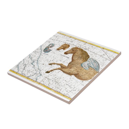 Celestial Map Pegasus Tegeltje (Zijkant)