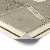 Celestial Map Poster (Hoek)