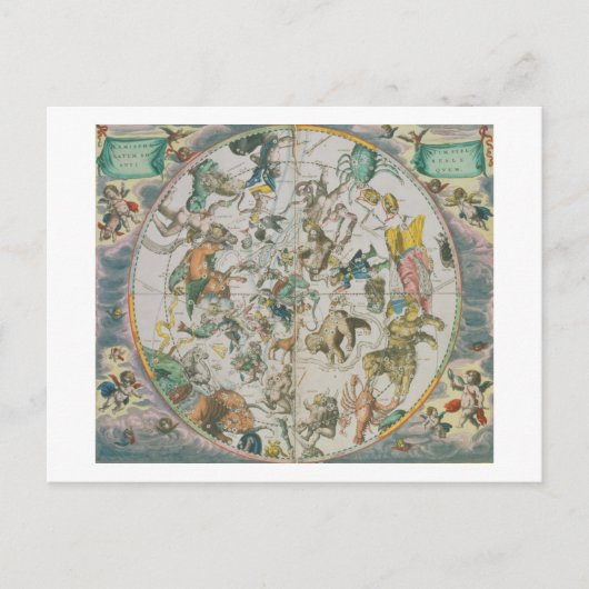Celestial Planisphere, waarop de tekens van de die Briefkaart (Voorkant)