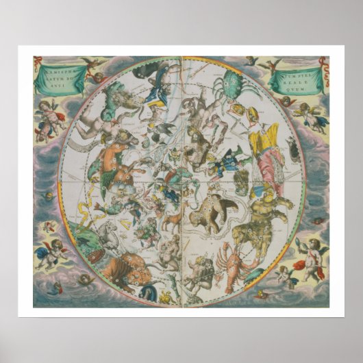 Celestial Planisphere, waarop de tekens van de die Poster (Voorkant)
