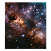 Celestial Prawn Drifting Through the Cosmic Deep Foto Afdruk (Voorkant)