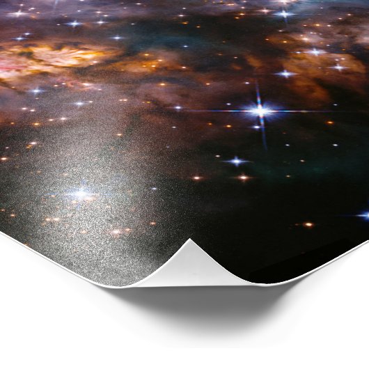 Celestial Prawn Drifting Through the Cosmic Deep Foto Afdruk (Hoek)