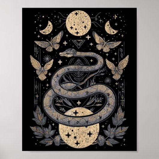 Celestial Wiccan Snake Moth Maan Phases Witch Paga Poster (Voorkant)