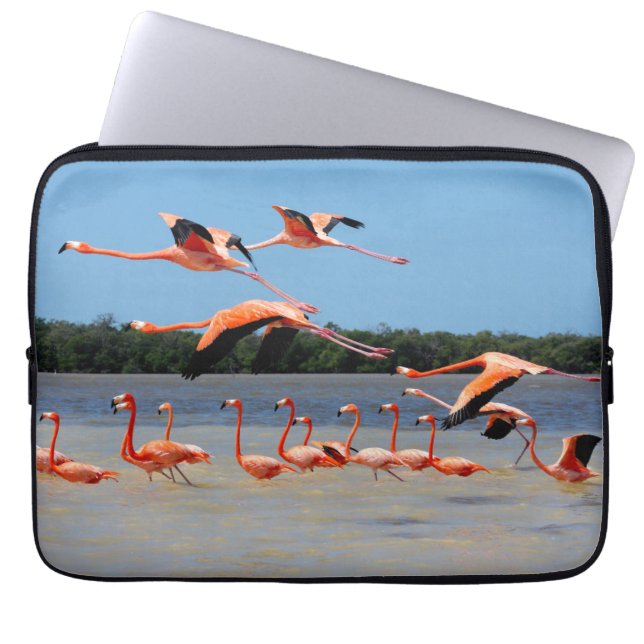 Celestun Biosphere Reserve Laptop Sleeve (Voorkant)