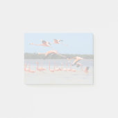 Celestun Biosphere Reserve Post-it® Notes (Voorkant)