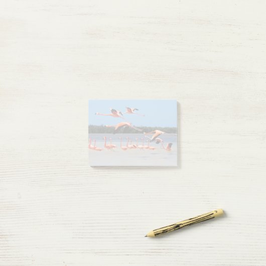 Celestun Biosphere Reserve Post-it® Notes (Op bureau)