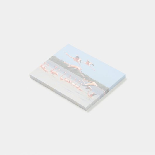 Celestun Biosphere Reserve Post-it® Notes (Schuin)