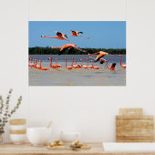 Celestun Biosphere Reserve Poster (Keuken)