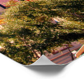 Celine Dion Caesars Palace Las Vegas America Poster (Hoek)