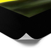 Celistial Poster (Hoek)