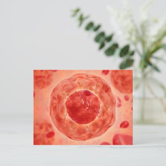 celkern met chromosoom 2 briefkaart (Staand voorkant)