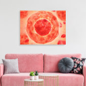 celkern met chromosoom 2 canvas afdruk (Insitu (Woonkamer))