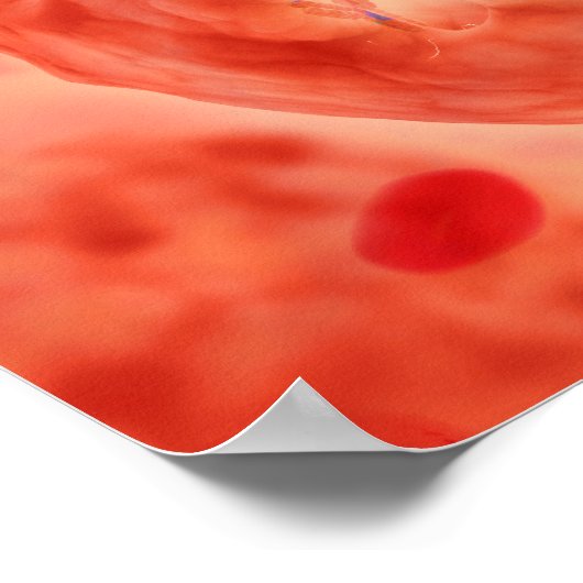 celkern met chromosoom 2 poster (Hoek)