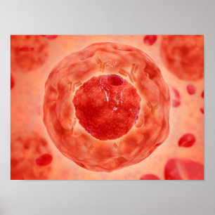 celkern met chromosoom 2 poster