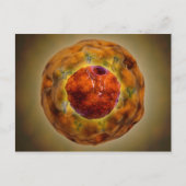 celkern met chromosoom 3 briefkaart (Voorkant)