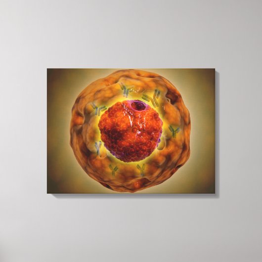 celkern met chromosoom 3 canvas afdruk (Voorkant)