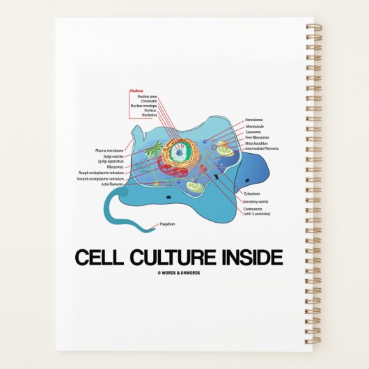 Celkweken in Eukaryotische cellen Planner (Achterkant)