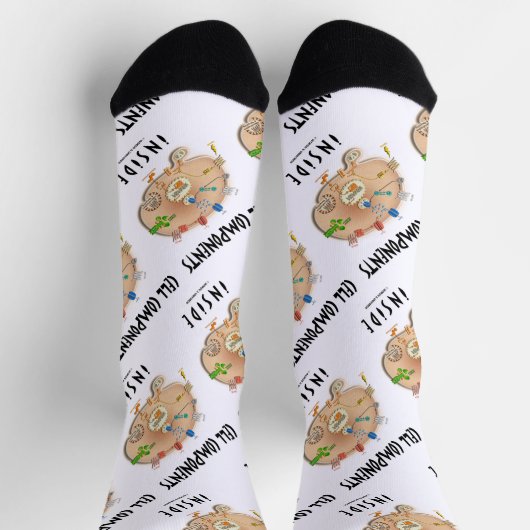 Cell Components Inside Biology Sokken (Top)