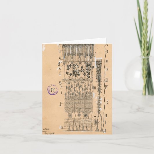 Cell Drawing Eye Retina Santiago Ramon Y Cajal Kaart (Voorkant)