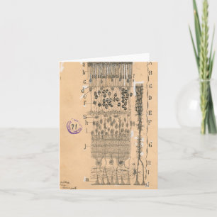 Cell Drawing Eye Retina Santiago Ramon Y Cajal Kaart