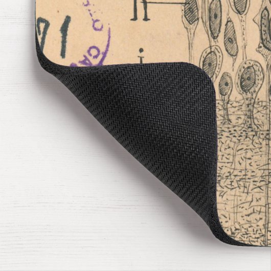 Cell Drawing Eye Retina Santiago Ramon Y Cajal Muismat (Hoek)