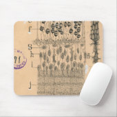 Cell Drawing Eye Retina Santiago Ramon Y Cajal Muismat (Met muis)