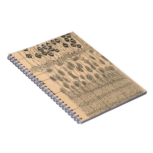 Cell Drawing Eye Retina Santiago Ramon Y Cajal Notitieboek (Rechterzijde)