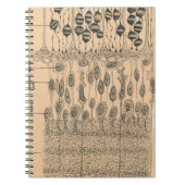 Cell Drawing Eye Retina Santiago Ramon Y Cajal Notitieboek (Voorkant)