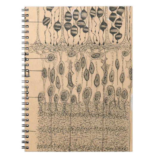 Cell Drawing Eye Retina Santiago Ramon Y Cajal Notitieboek (Voorkant)
